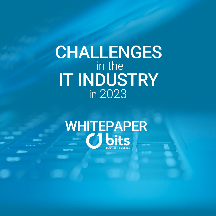 Challenges in the it industry 23 BITS GmbH