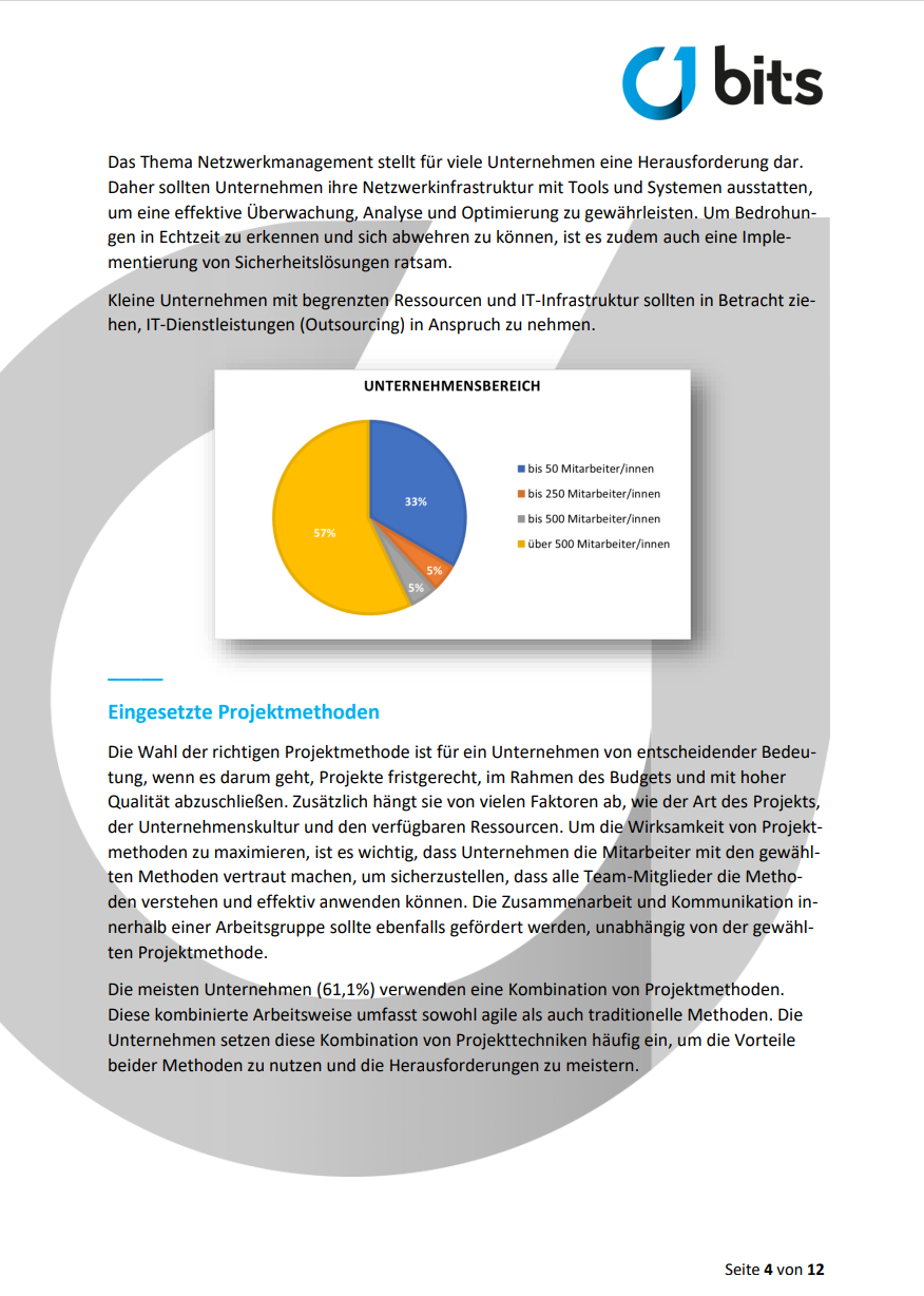 Eingesetzte Technologien BITS GmbH