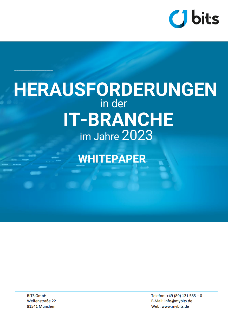 Herausforderungen in der IT Branche BITS GmbH