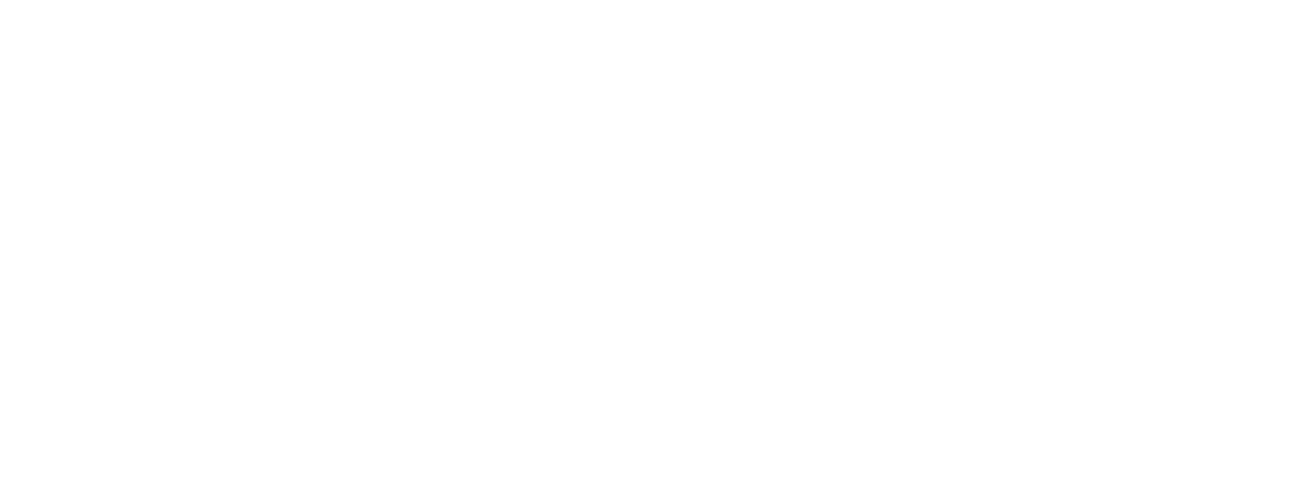 Logo BITS weiss komplett