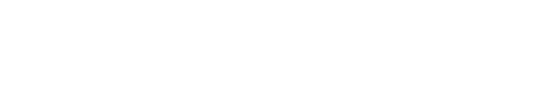 Dimension Data (Logo)