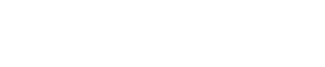 Logo Volkswagen Group Services